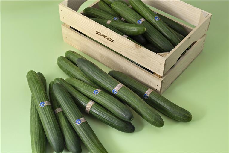 Gurkor med Saveggys lösning som bygger på ingredienserna raps- och havreolja.