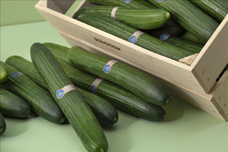 Gurkor med Saveggys lösning som bygger på ingredienserna raps- och havreolja.